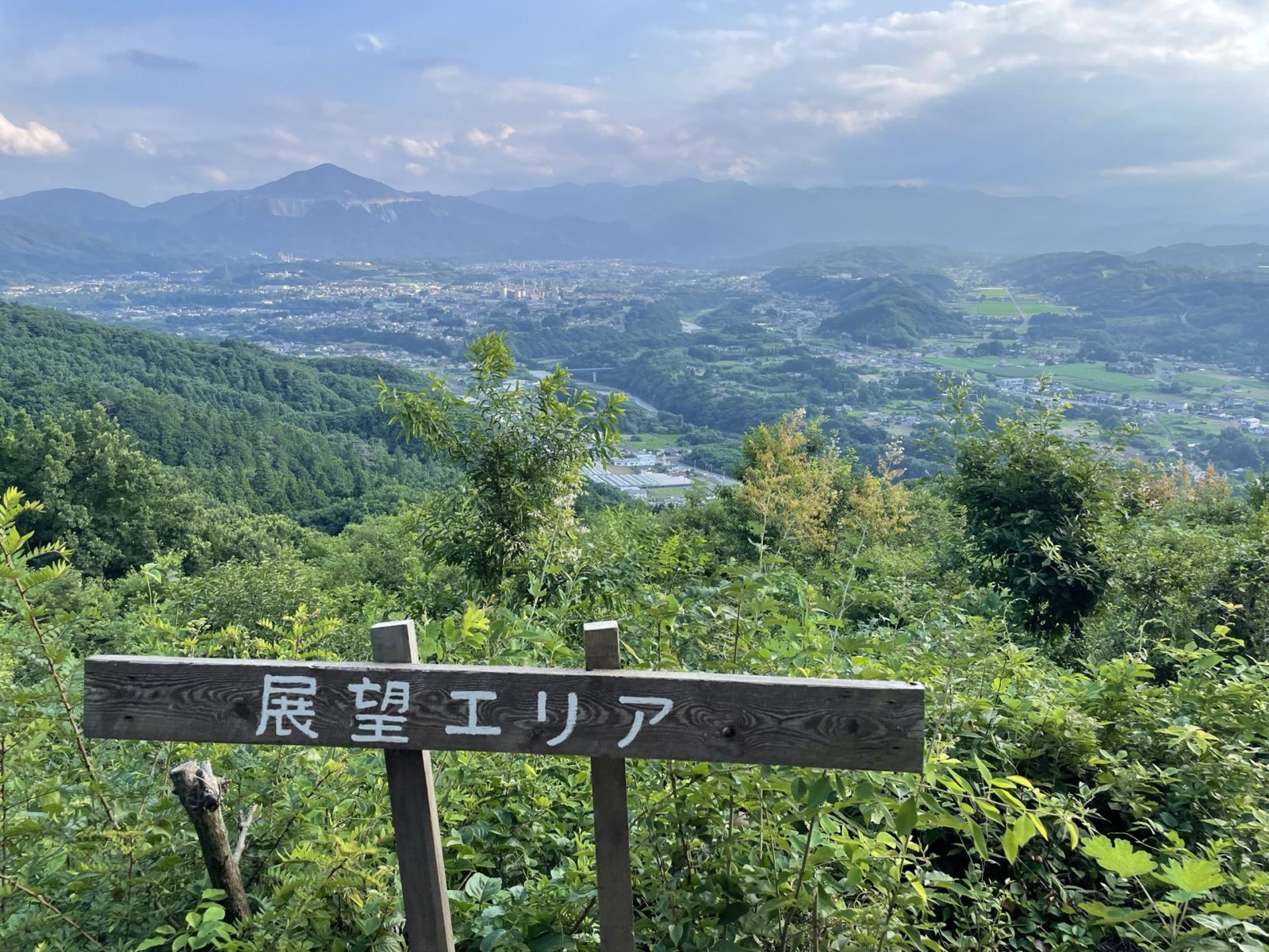 渓流のほとり