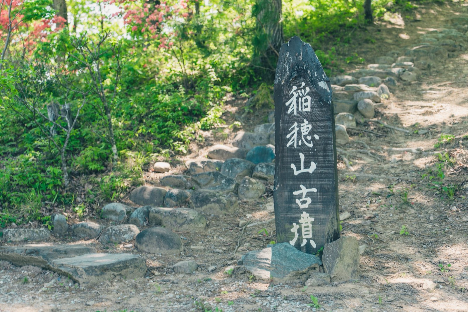 受付・散策路の入口