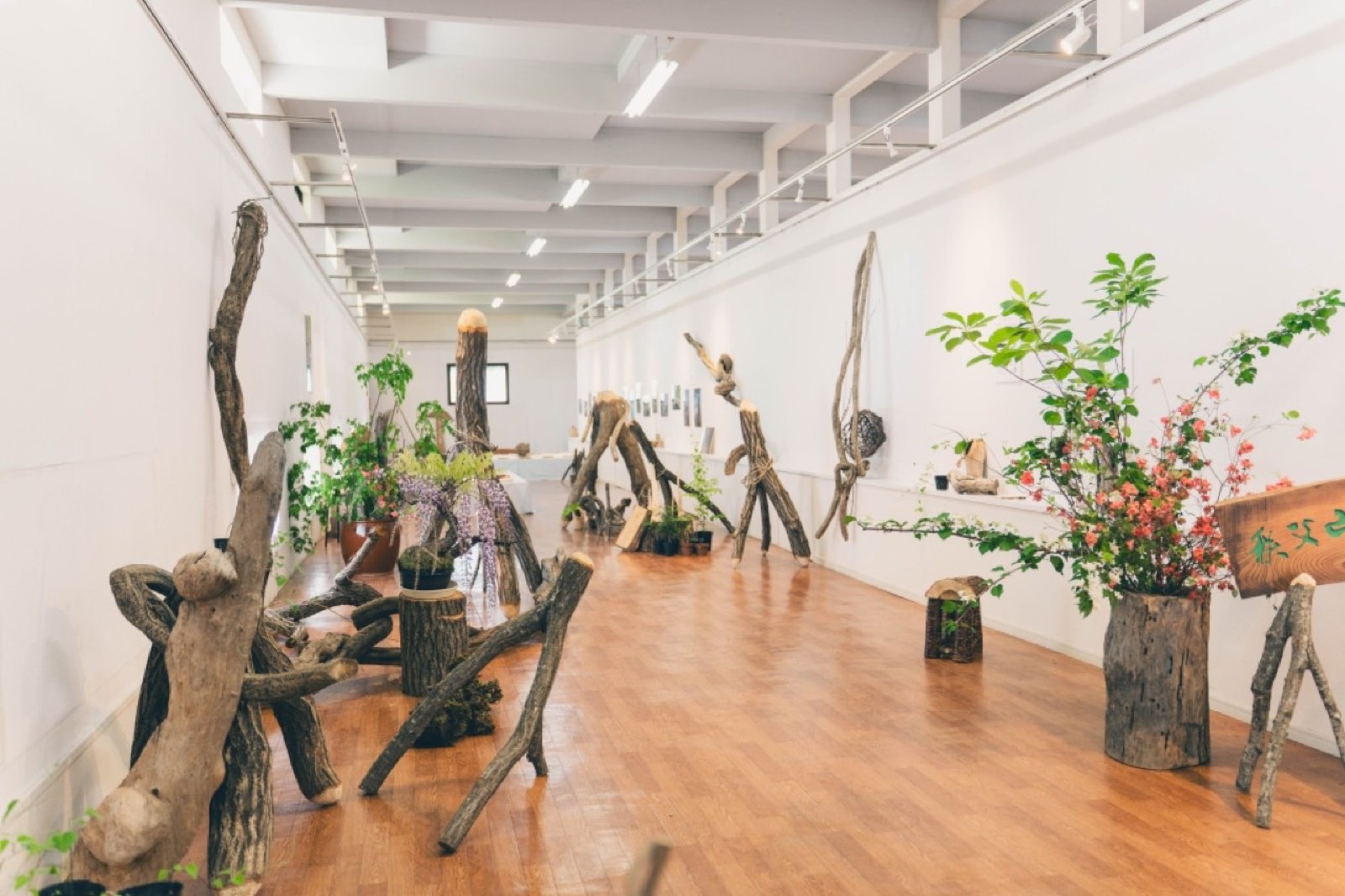 無料の山のギャラリー